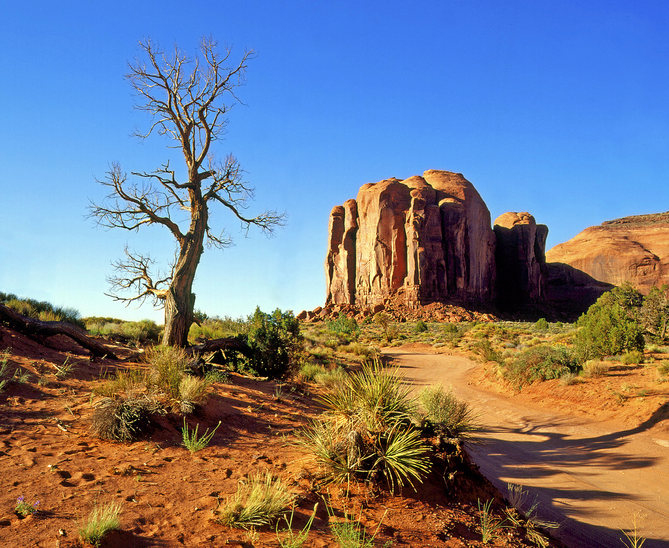 Monument Valley