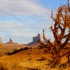 Monument Valley... a place where nature is still nature