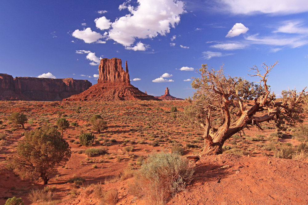 Monument Valley am Spätnachmittag