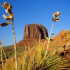 Monument Valley, Arizona, USA