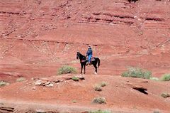 Monument Valley Cowboy