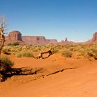 Monument Valley 