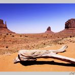 Monument Valley I