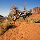 Monument Valley mit Merrick Butte, Navajo County, Arizona, USA