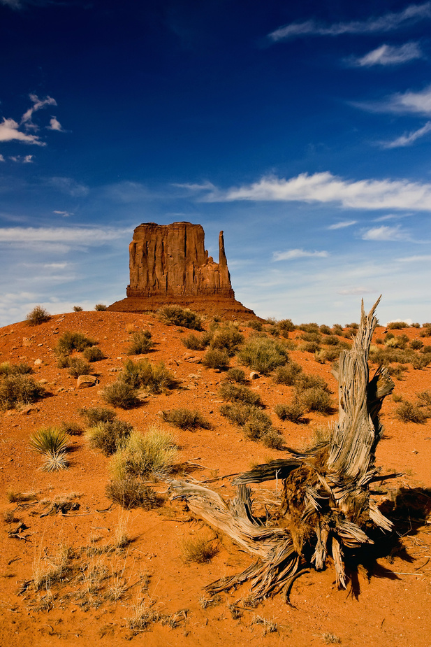 Monument Valley Navajo Tribal Park III - Utah - USA