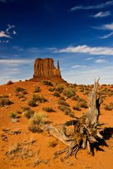 Monument Valley Navajo Tribal Park III - Utah - USA