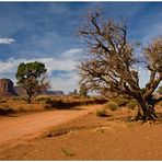 Monument Valley Navajo Tribal Park - Utah - USA