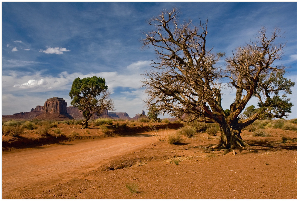 Monument Valley Navajo Tribal Park - Utah - USA