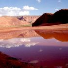 Monument Valley Reflection