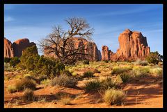 ..:: MONUMENT VALLEY TREE ::..