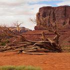 Monument Valley USA 6/15