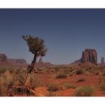 monument valley view