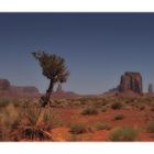 monument valley view