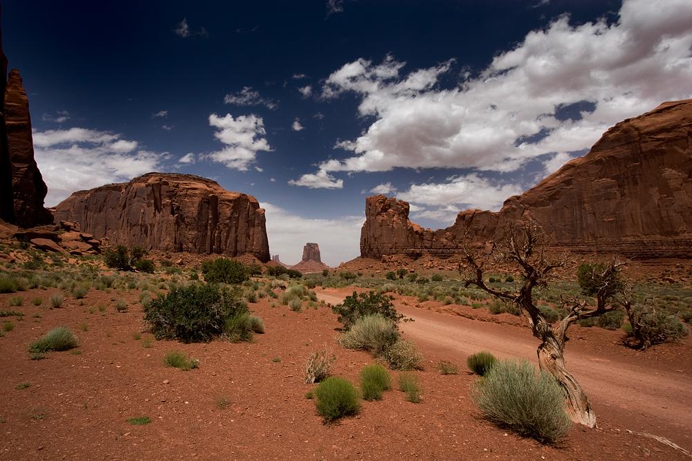 Monument Valley Window