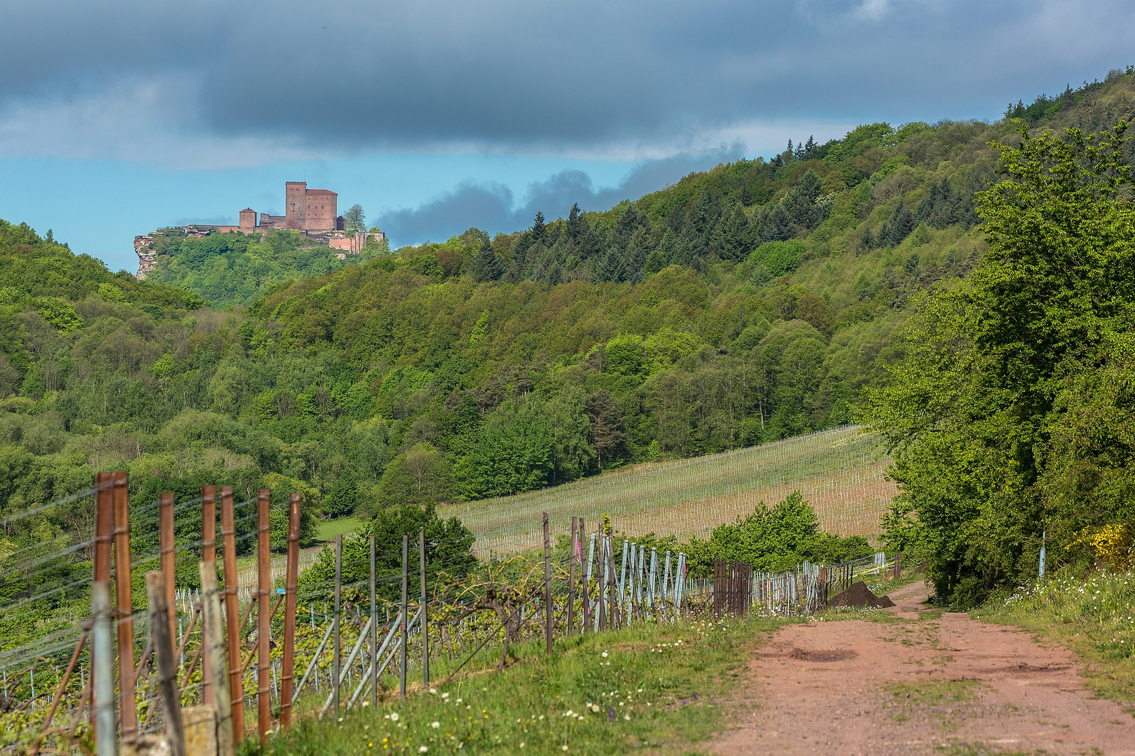 Monument zwischen Wein, Wald und Wolken