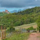 Monument zwischen Wein, Wald und Wolken