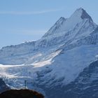 Monumentales Schreckhorn