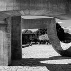 Monumento a la Tolerancia