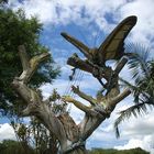 Monumento a Manuel Ortiz Guerrero - Panambi Vera (mariposa dorada)