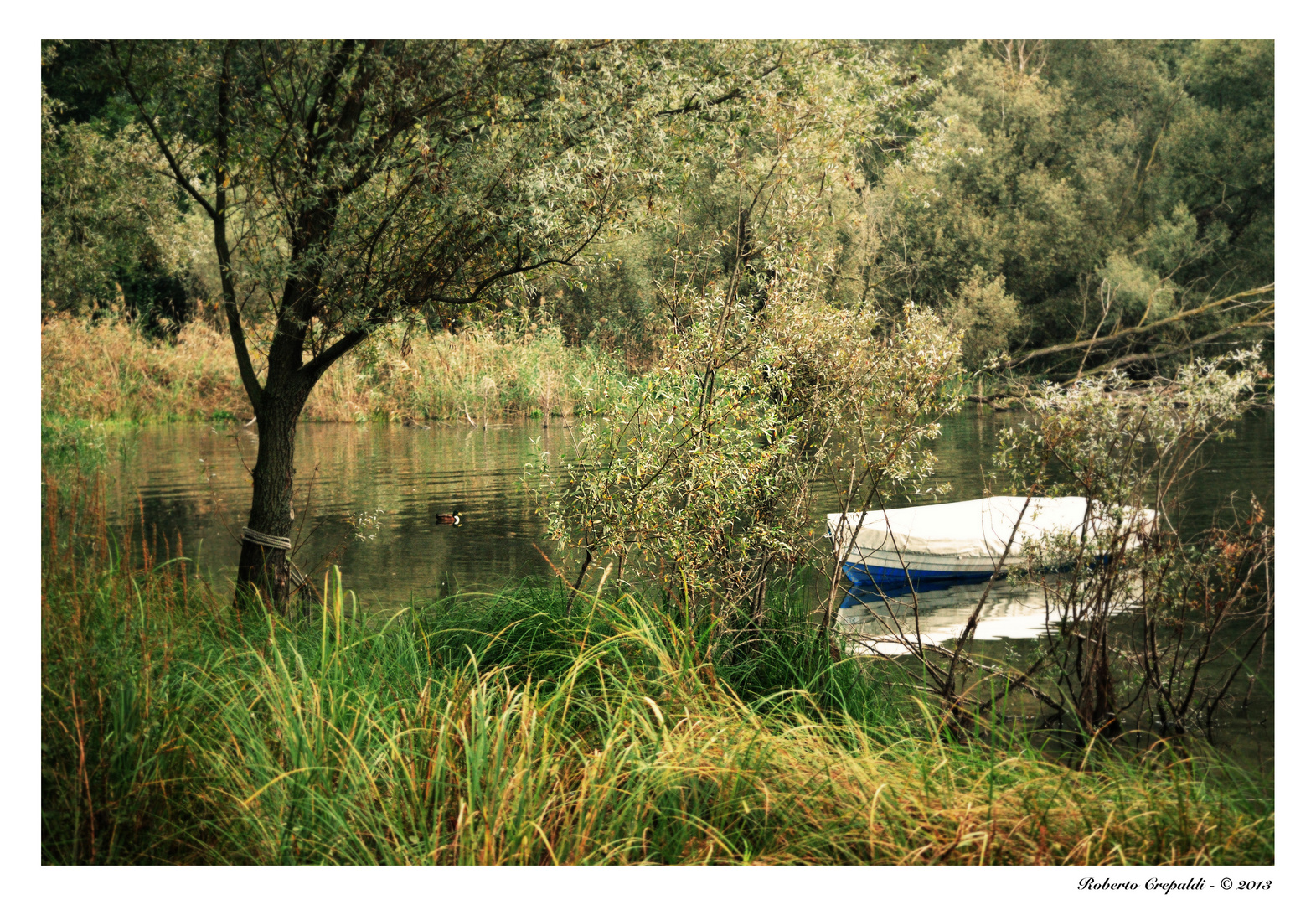 Monvalle, vista sul lago