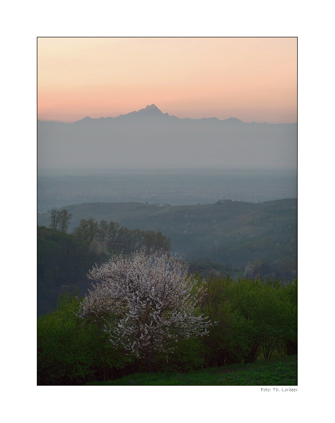 Monviso