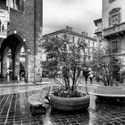 Monza, centro storico