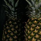 Moody Ananas