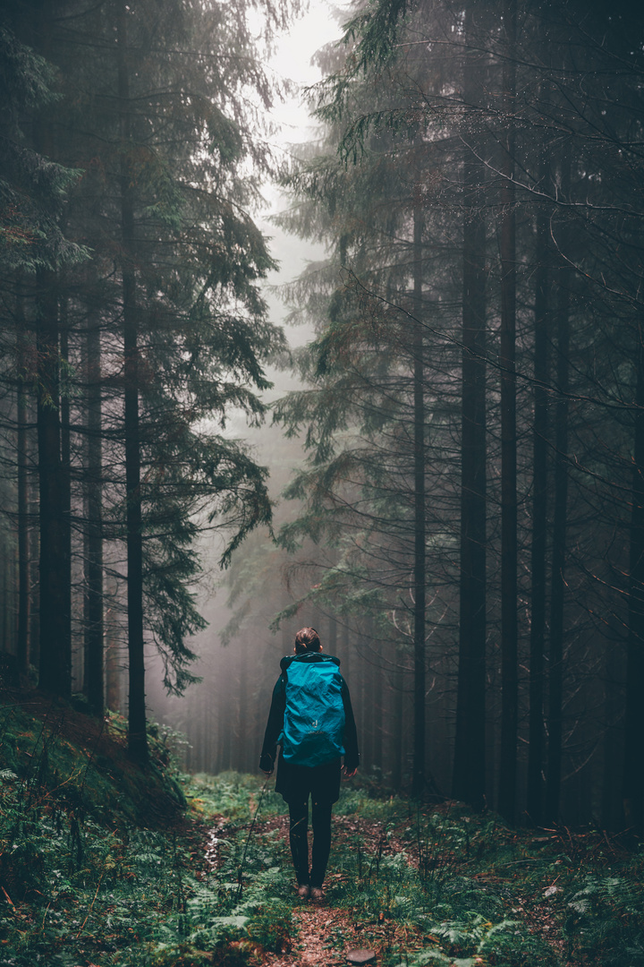 Moody forest finds with best friend.