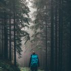 Moody forest finds with best friend.