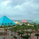 Moody Gardens