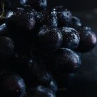 Moody Grapes