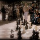 Moody Street Chess in Amsterdam (2009)