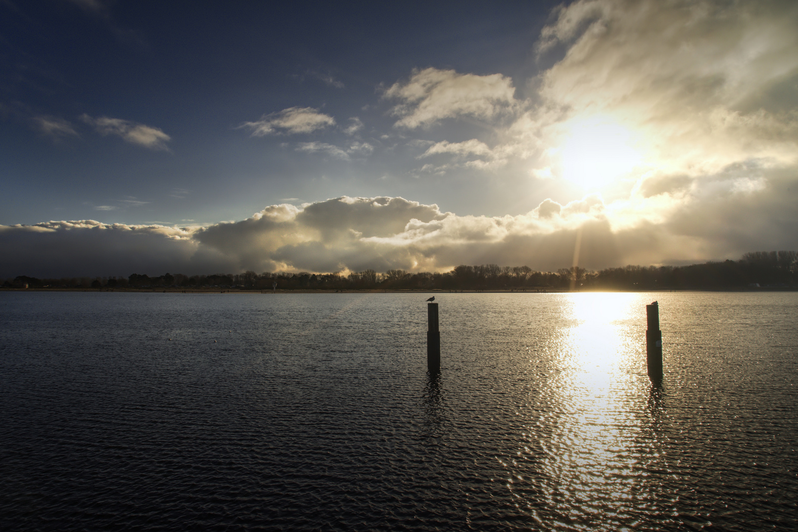 Moody Waters 