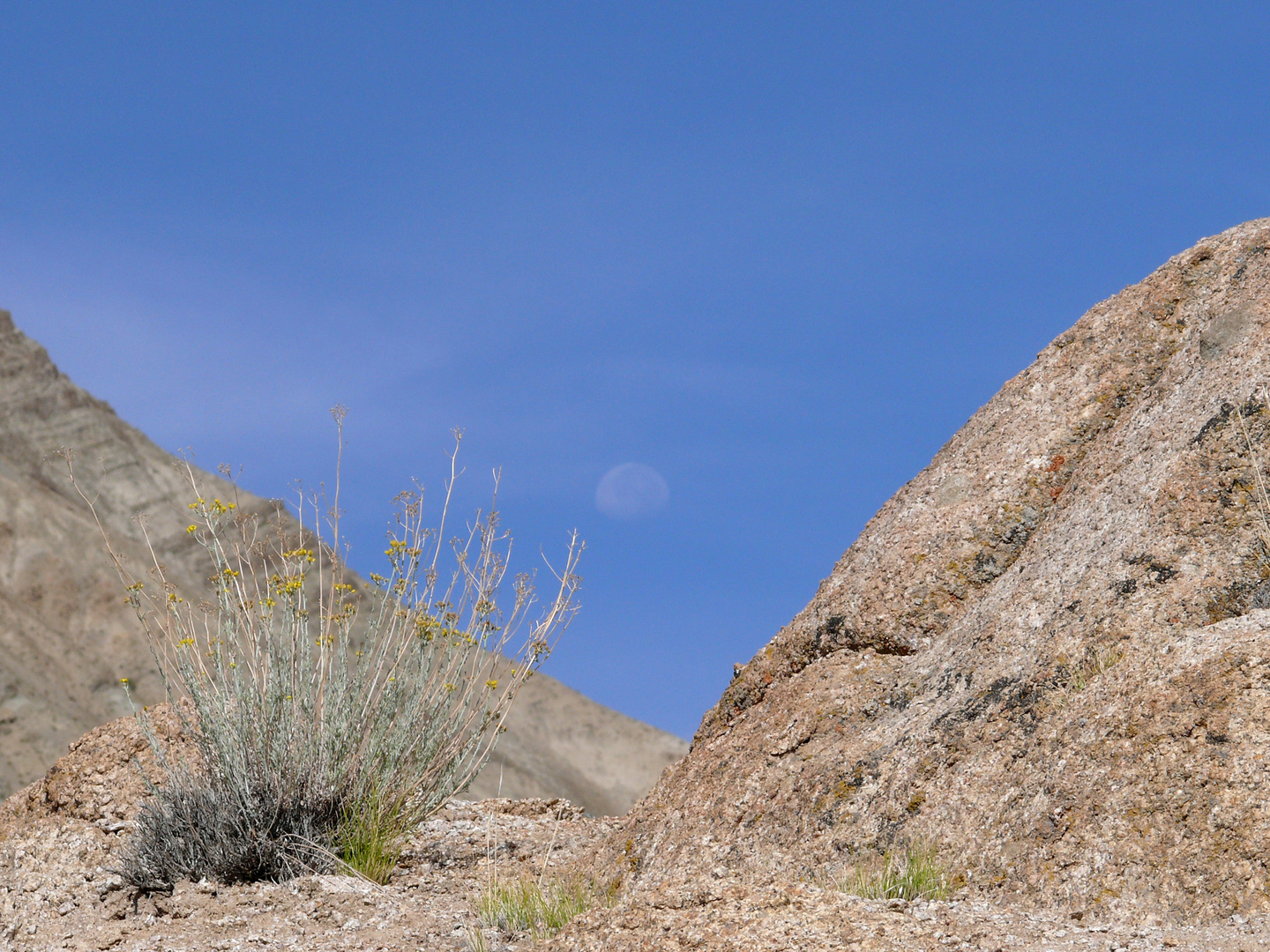 Moon at day