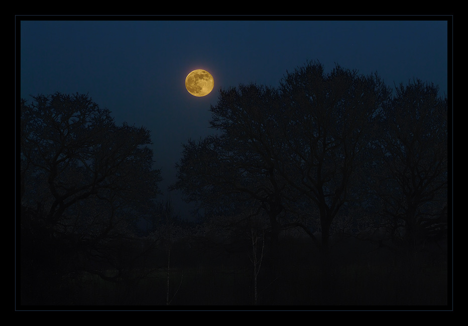 moon at night