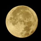 Moon by Nikon Coolpix P900