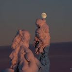 Moon dancing on brain