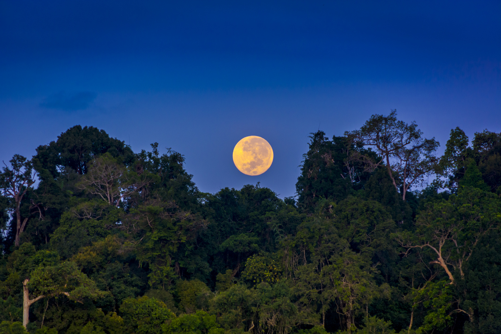 MOON DOWN - Khao Sok National Park