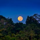 MOON DOWN - Khao Sok National Park