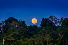 MOON DOWN - Khao Sok National Park