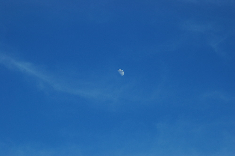 Moon During The Day