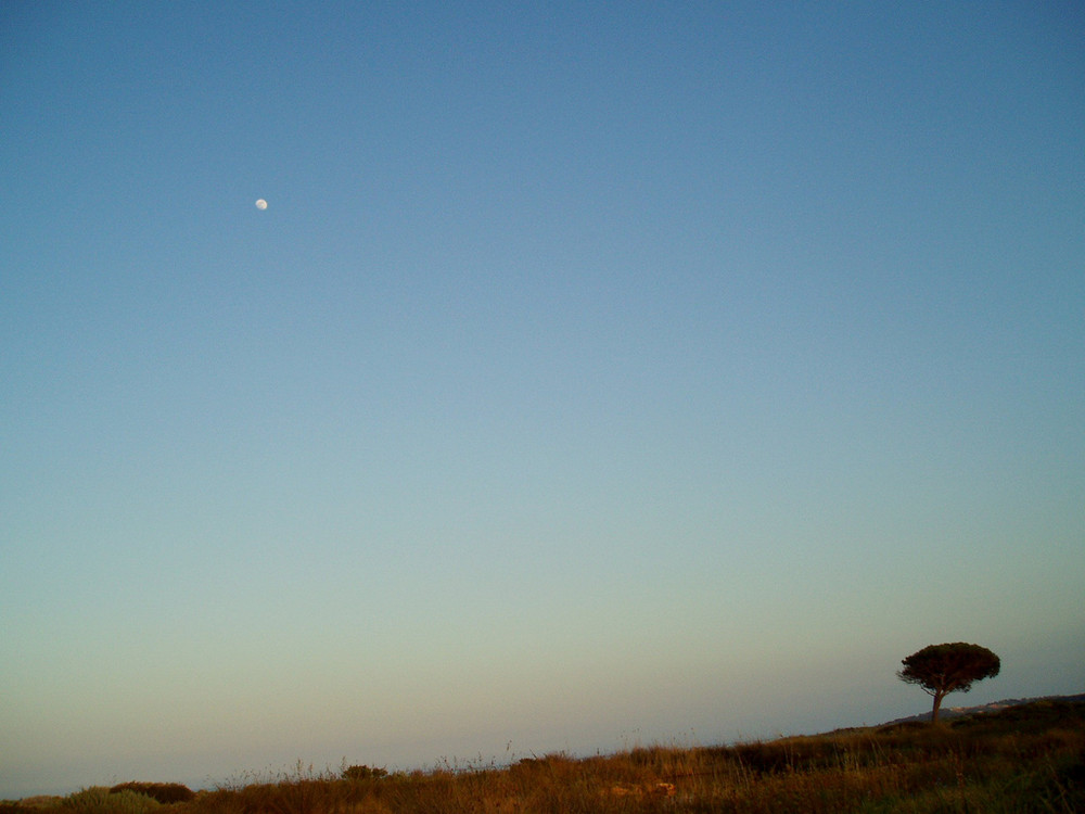 Moon in April