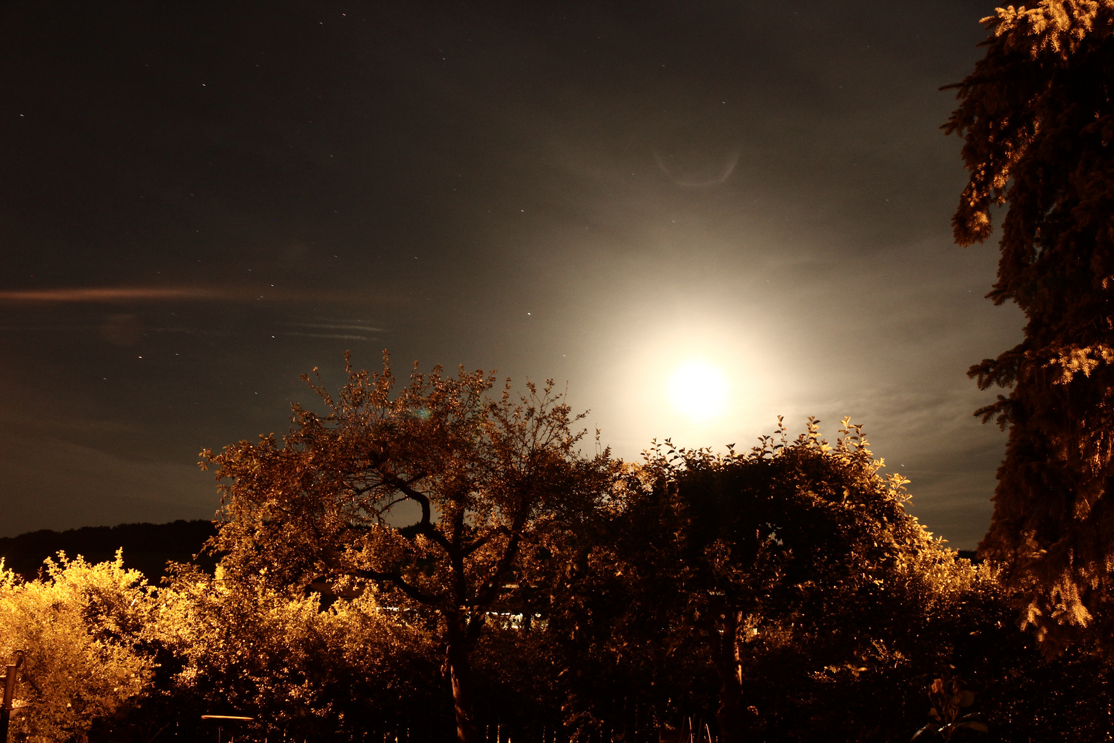 Moon in the Garden