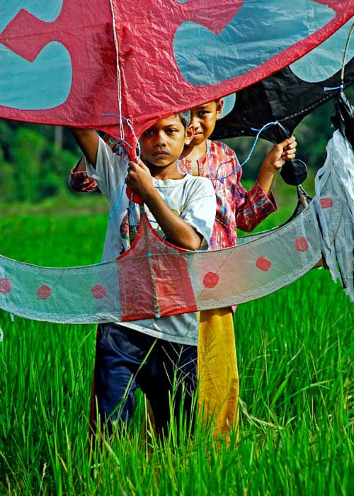 moon kite