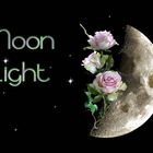 Moon light