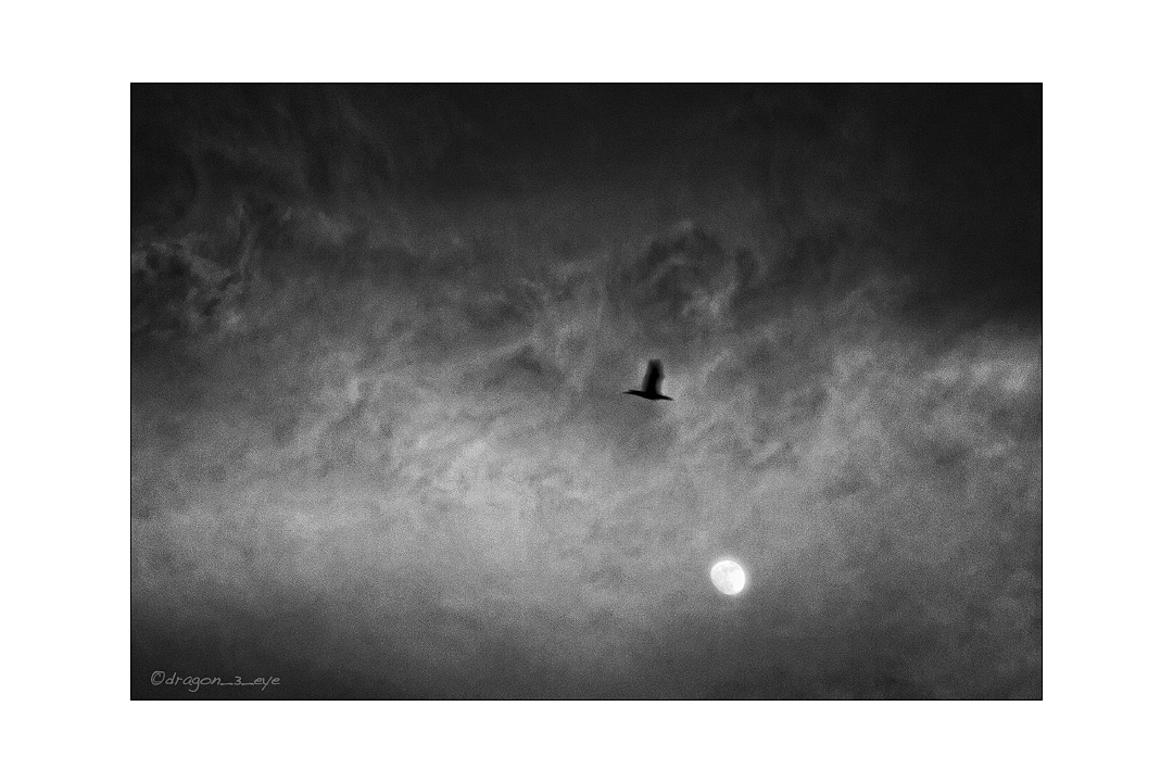 Moon Light One 2