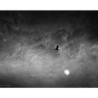 Moon Light One 2