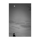 Moon Light One 