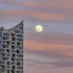 Moon meets Elphi