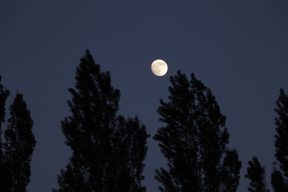 Moon on the 24/05/2021 shortly before "Supermoon"